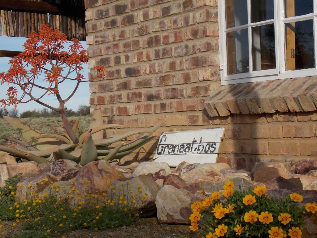 Wolvekraal Guest Farm Villa Prince Albert Buitenkant foto